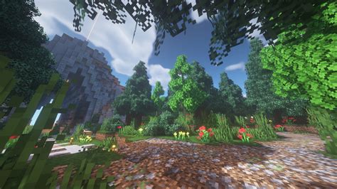 forest biome minecraft